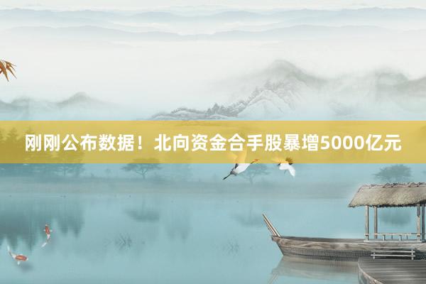 刚刚公布数据！北向资金合手股暴增5000亿元