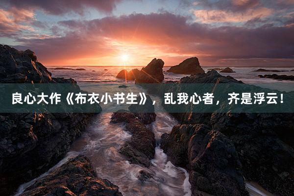 良心大作《布衣小书生》，乱我心者，齐是浮云！