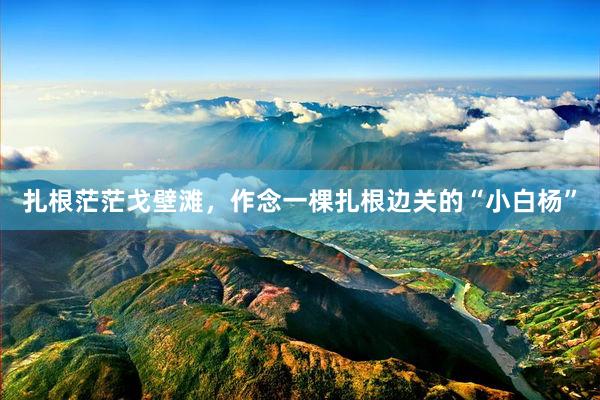 扎根茫茫戈壁滩，作念一棵扎根边关的“小白杨”