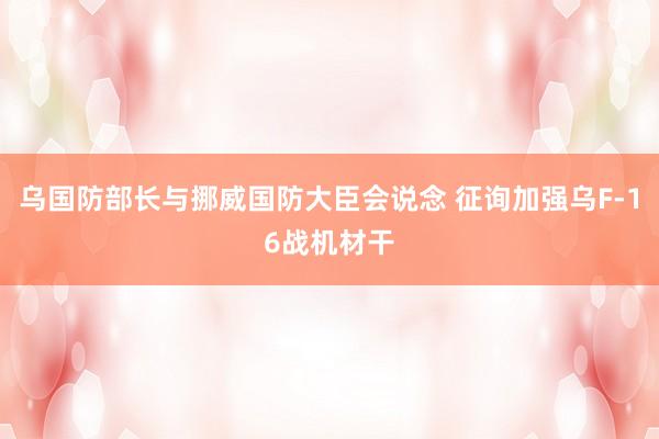 乌国防部长与挪威国防大臣会说念 征询加强乌F-16战机材干