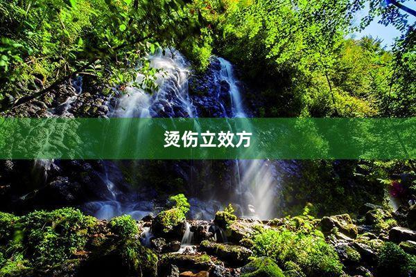 烫伤立效方
