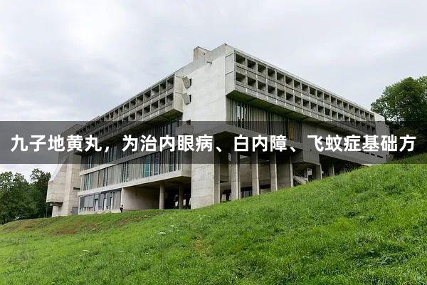 九子地黄丸，为治内眼病、白内障、飞蚊症基础方