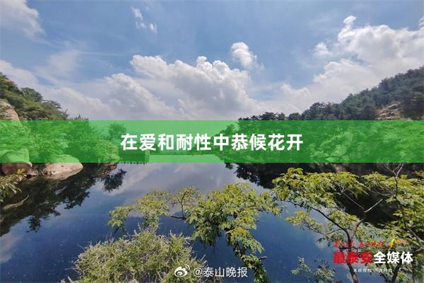 在爱和耐性中恭候花开