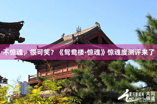 不惊魂，很可笑？《鸳鸯楼·惊魂》惊魂度测评来了