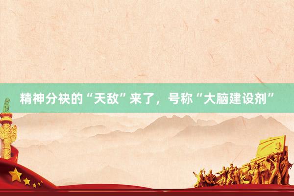精神分袂的“天敌”来了，号称“大脑建设剂”