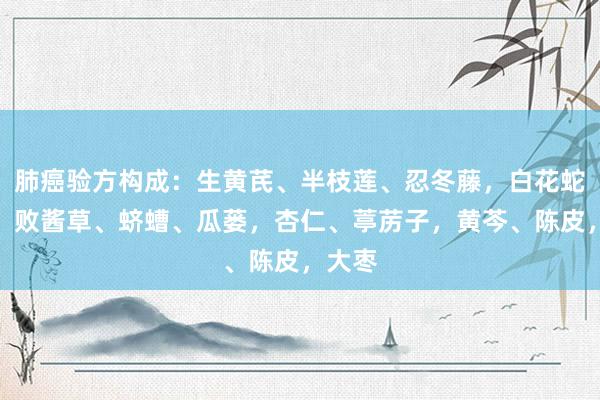 肺癌验方构成：生黄芪、半枝莲、忍冬藤，白花蛇舌草、败酱草、蛴螬、瓜蒌，杏仁、葶苈子，黄芩、陈皮，大枣