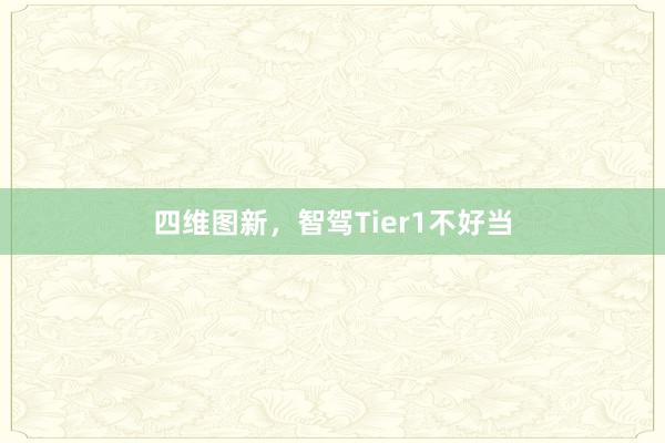 四维图新，智驾Tier1不好当