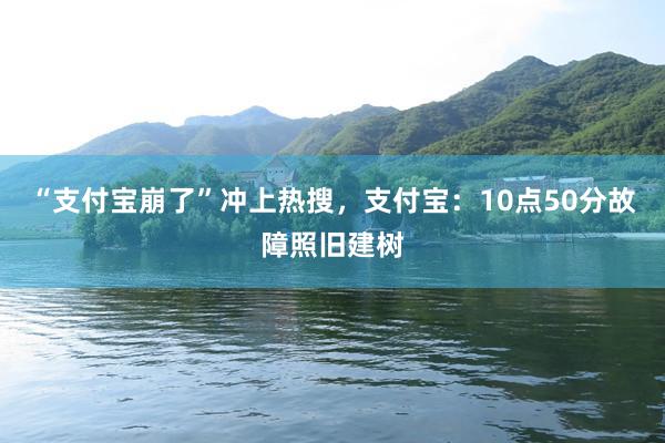 “支付宝崩了”冲上热搜，支付宝：10点50分故障照旧建树