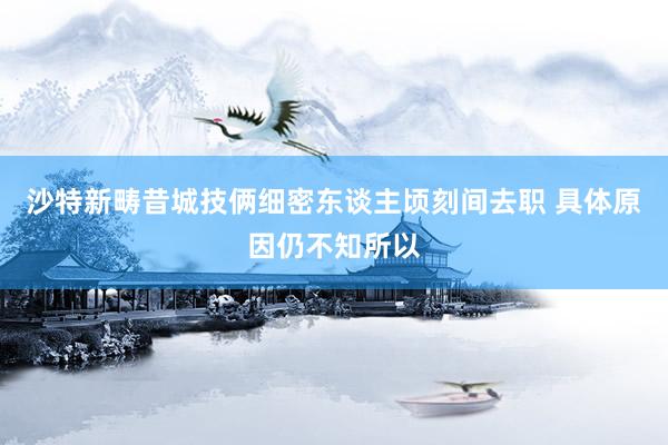 沙特新畴昔城技俩细密东谈主顷刻间去职 具体原因仍不知所以