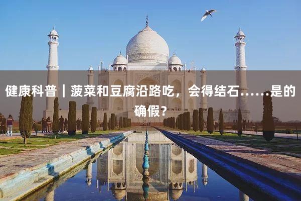 健康科普｜菠菜和豆腐沿路吃，会得结石……是的确假？