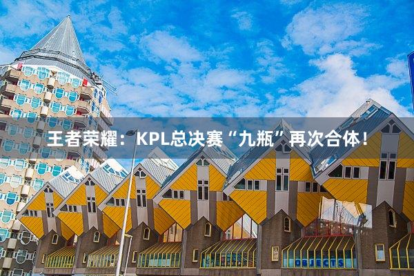 王者荣耀：KPL总决赛“九瓶”再次合体！