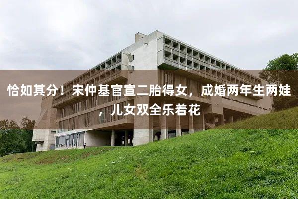 恰如其分！宋仲基官宣二胎得女，成婚两年生两娃，儿女双全乐着花