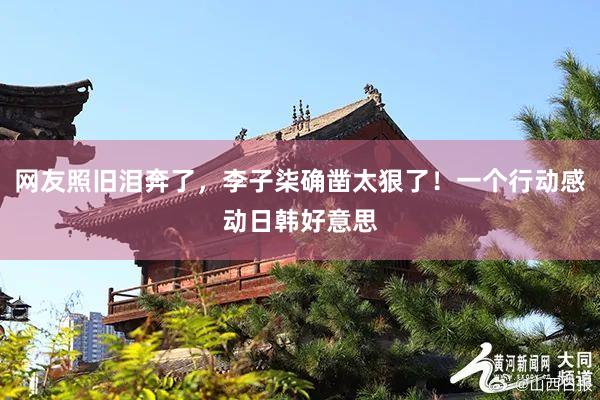 网友照旧泪奔了，李子柒确凿太狠了！一个行动感动日韩好意思