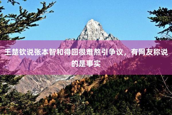 王楚钦说张本智和得回很难熬引争议，有网友称说的是事实