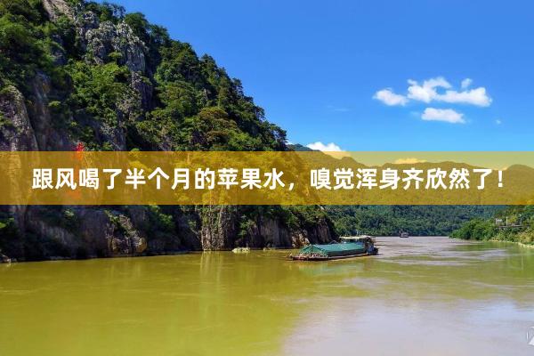 跟风喝了半个月的苹果水，嗅觉浑身齐欣然了！
