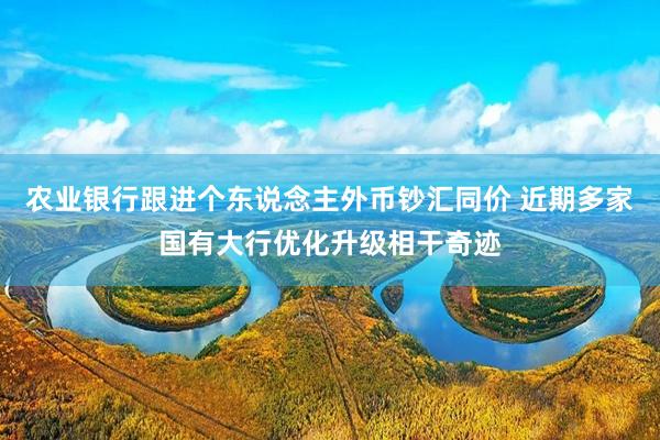 农业银行跟进个东说念主外币钞汇同价 近期多家国有大行优化升级相干奇迹
