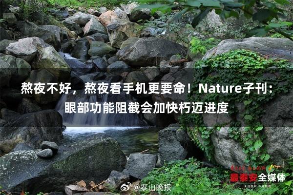 熬夜不好，熬夜看手机更要命！Nature子刊：眼部功能阻截会加快朽迈进度